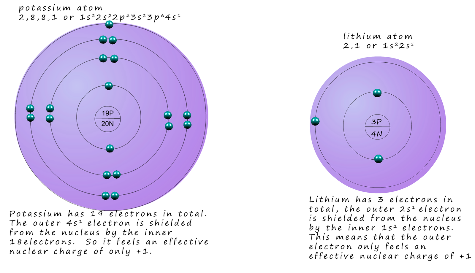 Atomic structure diagrams to show the effective nuclear charge in a potassium and lithium atom.